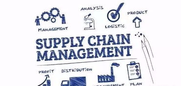 专业咨询公司中需要精通供应链管理的部门